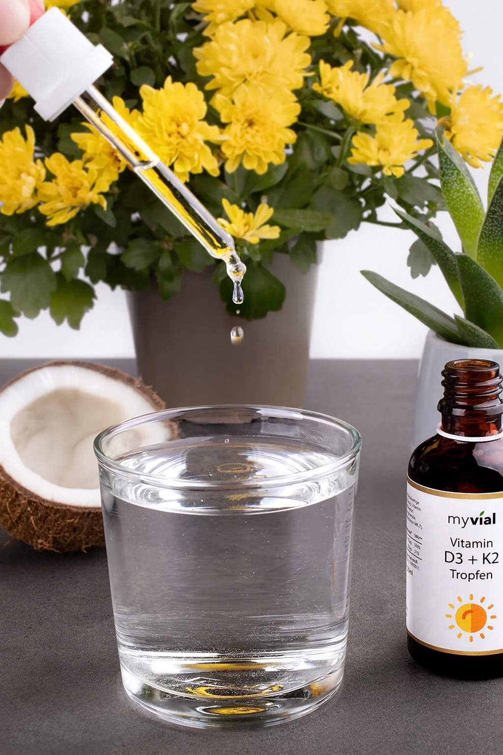 Nahrungsergänzungsmittel